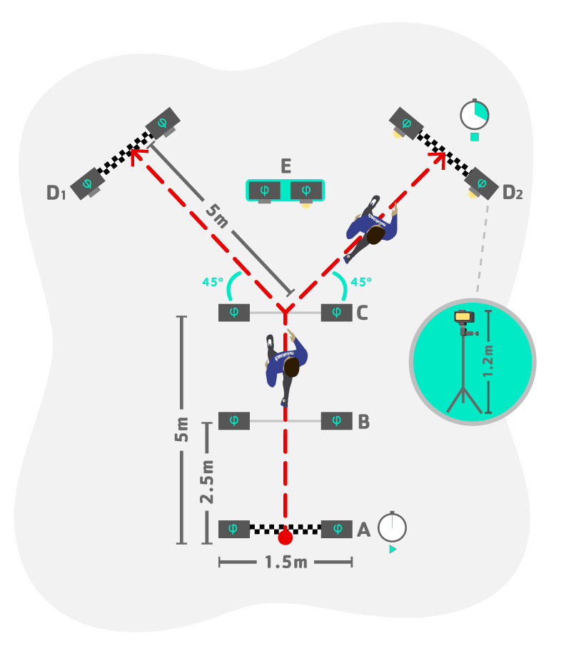 Schematic of the reactive agility test for both HOCK and LIGHT.