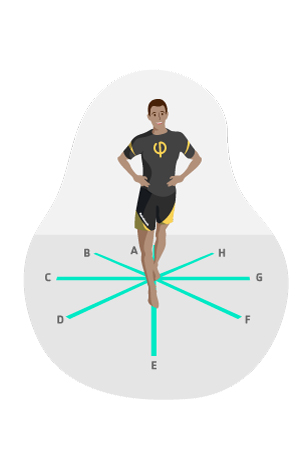 star excursion balance test protocolo